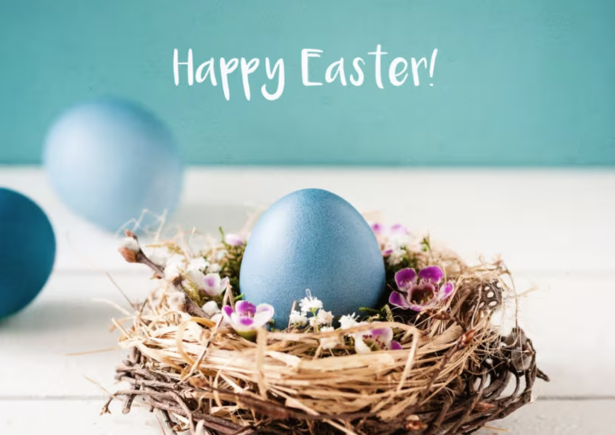 Buona Pasqua dal Team CATAMACRO Informatica